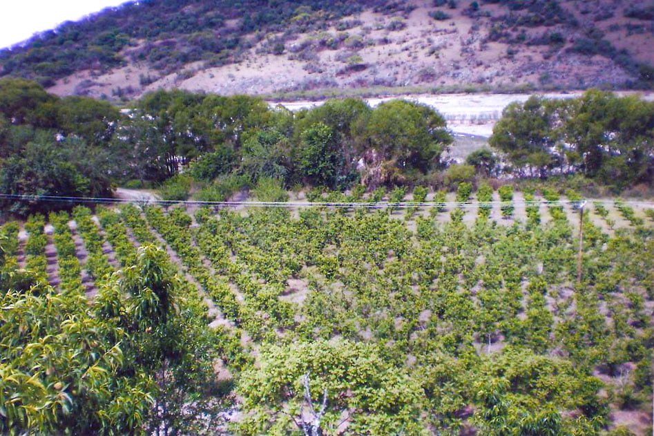 Finca Buena Voluntad Finca Buena Voluntad